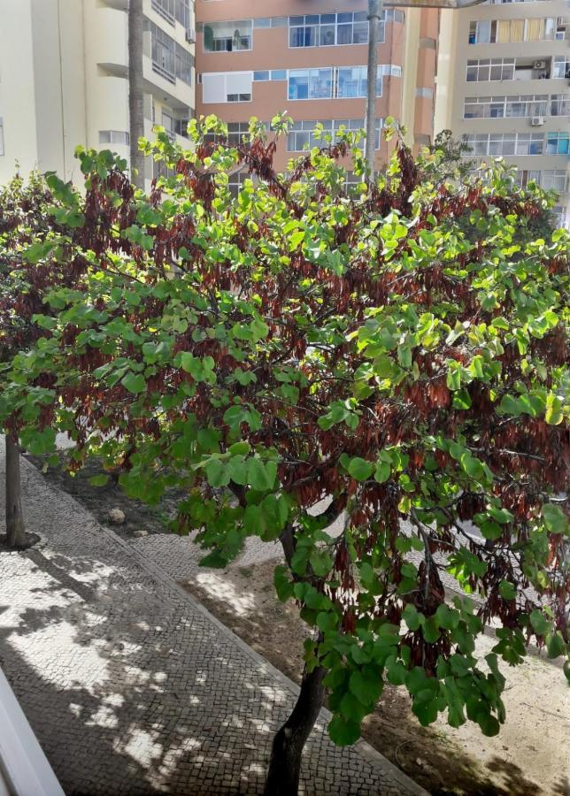 Casinha Da Ria Daire FAO Dış mekan fotoğraf